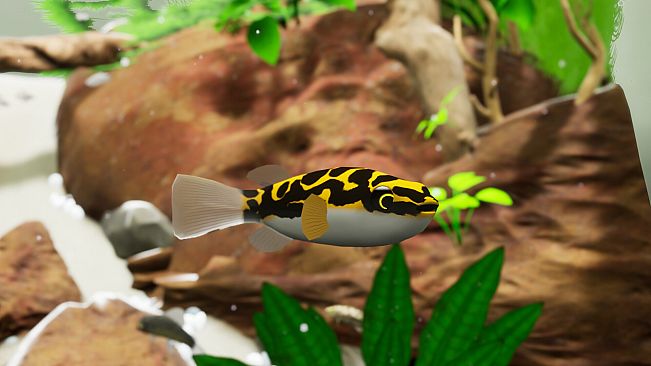 Fish Game - Indonesia Fish Pack 1