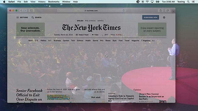 Chameleon Video Player