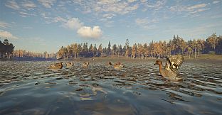 theHunter: Call of the Wild - Revontuli Coast