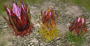 Defenders of Ardania: The Conjurer's Tricks