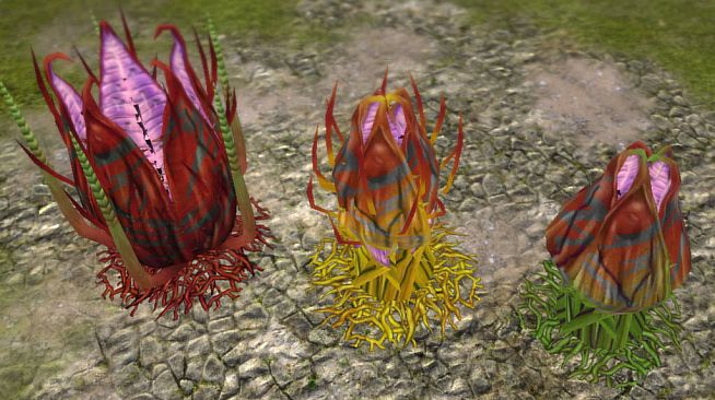 Defenders of Ardania: The Conjurer's Tricks