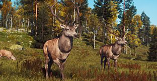 Way of the Hunter - Lintukoto Reserve