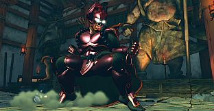 USFIV: Shoryuken Wild Pack