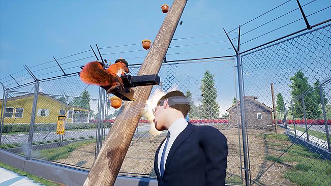 Squirrel with a Gun