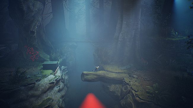 Ayasa: Shadows of Silence