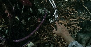 Sker: The Bleeding Veil