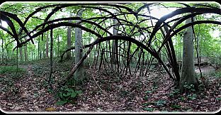 Exhale XR - Healing Vibes