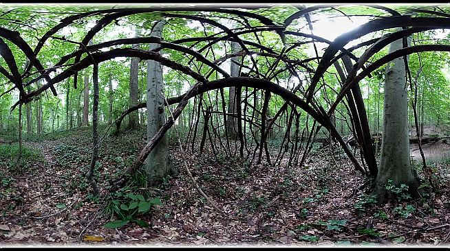 Exhale XR - Healing Vibes