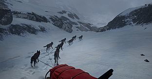 WILL: Follow The Light