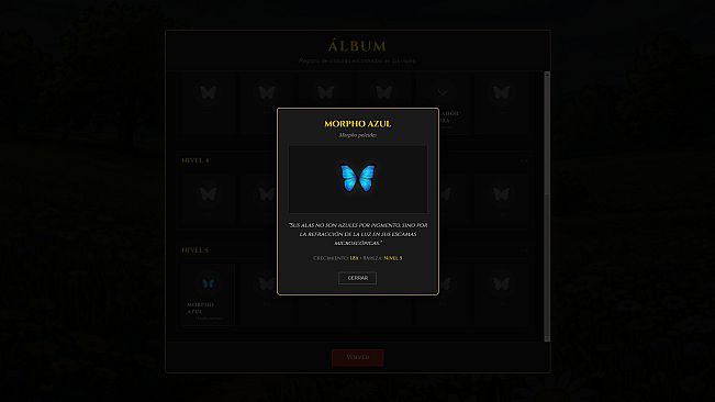 Butterfly Project