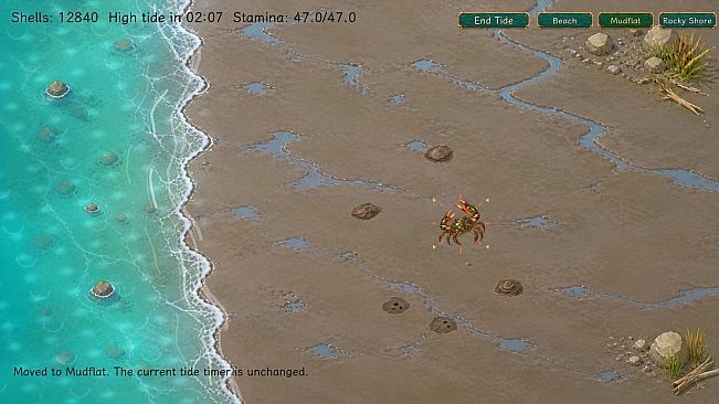 Low Tide Tales