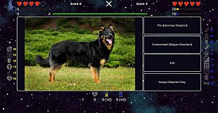 I've Seen Everything - Dogs