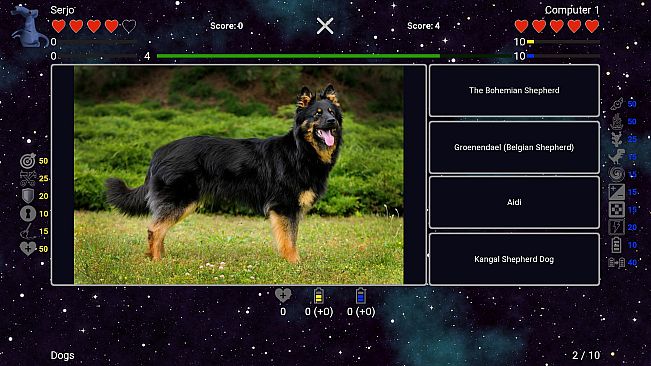 I've Seen Everything - Dogs