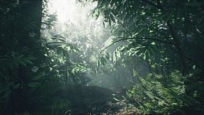 Wakamarina Valley, New Zealand