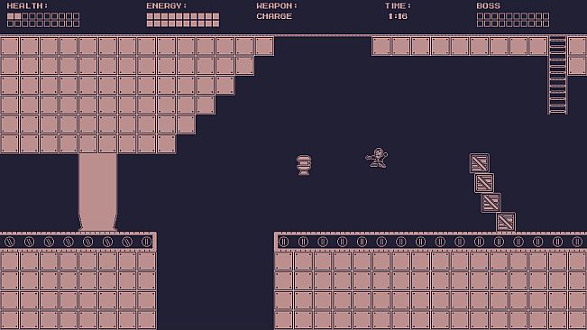 Hand Cannon: Janky Reality