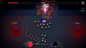 Necromancer's Revenge