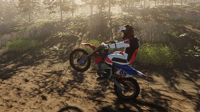 Enduro Unleashed