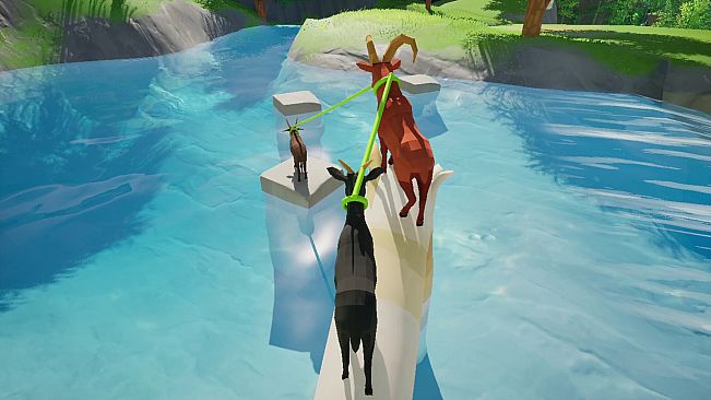 Mountain Goatastrophe