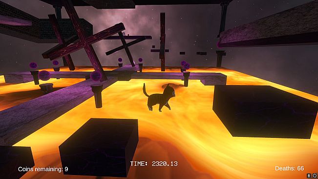 9 Trials of Whiskers