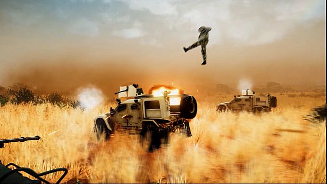 Hunting fields of Jackals