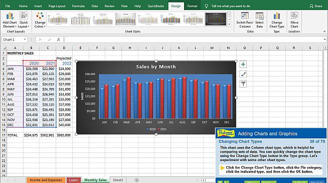 Professor Teaches Excel 2019