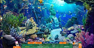 First Time In Hawaii Collector's Edition