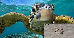 Second Monitor Gladiators