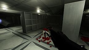 The SS Destiny Disaster