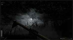 Descending The Woods