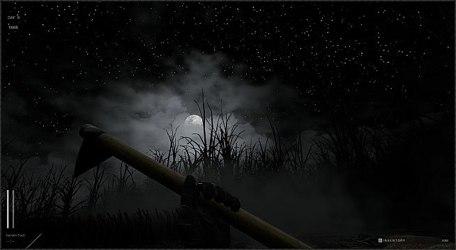 Descending The Woods