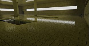 Transcendence in the Poolrooms