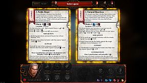 The Witcher Adventure Game