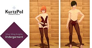 KurtzPel - Silver Wing Knights Undergarment