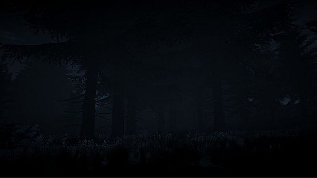 Dark Survival