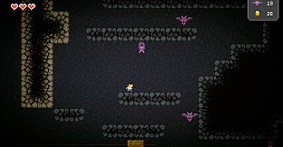 Behind Closed Doors: A Developer's Tale