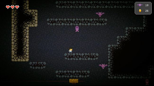 Behind Closed Doors: A Developer's Tale