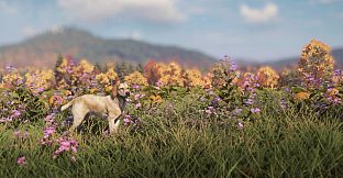 theHunter: Call of the Wild - Labrador Retriever