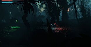 Swords And Their Boy