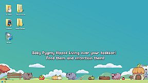 Baby Pygmy Hippo Zoo