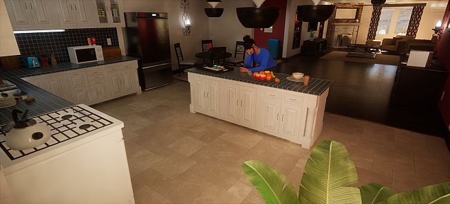 Birdcage: A Tale of Sorrow