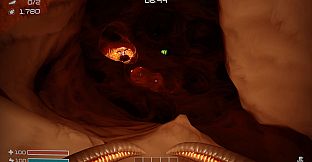 Dig Baby Dig Company