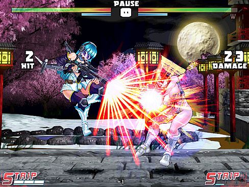 Strip Fighter 5: Chimpocon Edition