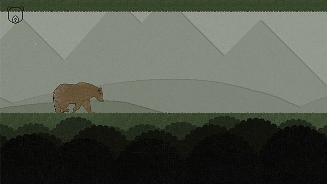 Mr Bear Goes to Washington