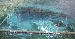 Bocchi the Wanderer: A NEET's Solo Ride Around Japan