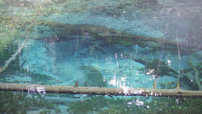 Bocchi the Wanderer: A NEET's Solo Ride Around Japan