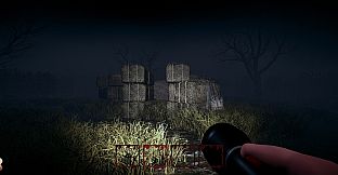 Hog Hunt