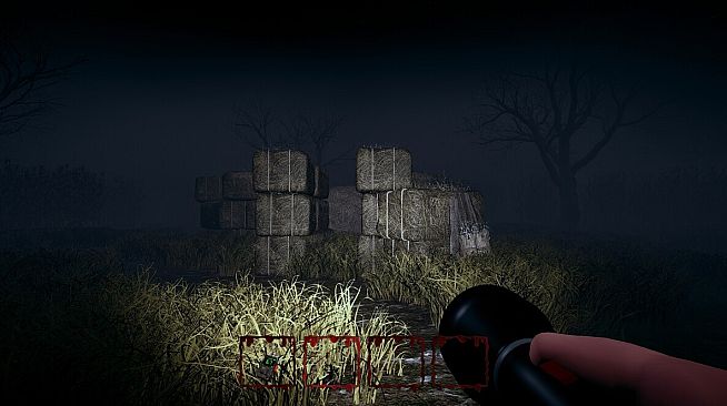 Hog Hunt