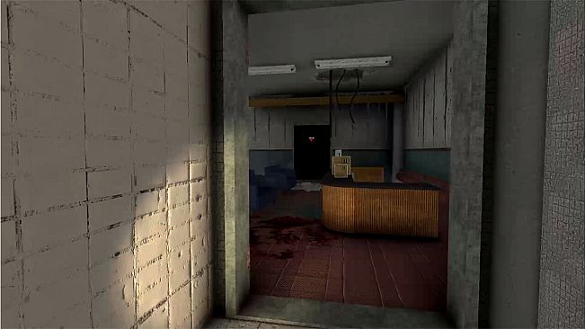 Devilish Lady Doctor - A Night of Domination and Seduction -