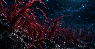 Puzzle Algae