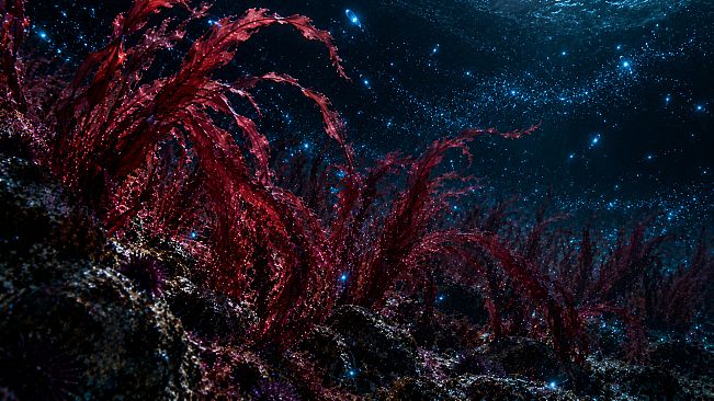 Puzzle Algae